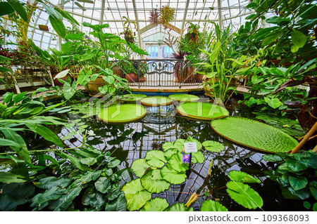 Close up view of pond area inside Conservatory of flowers with railing and exit doors 109368093