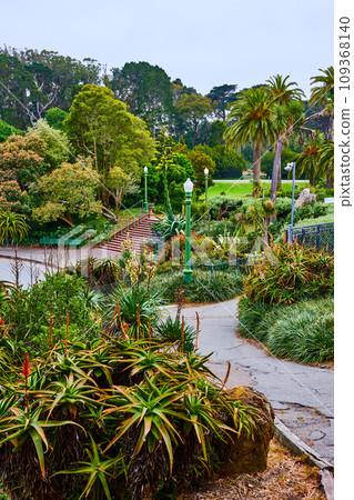 Exterior pathway with plant life near Conservatory of Flowers 109368140