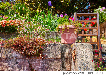 Flower pot on concrete wall with trellis and multiple colorful flowers 109368141