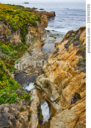 Two waterfalls cutting between cliff rock with yellow wildflowers and stream leading to ocean 109368389