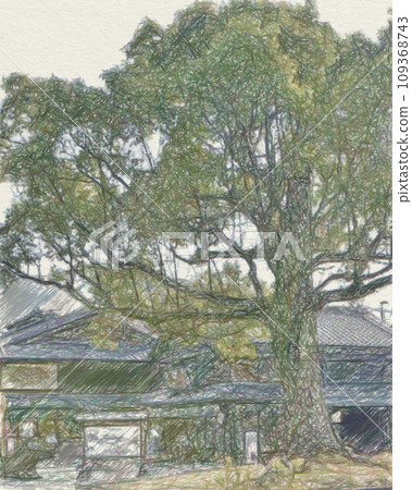 位於古色古香的日式房屋中的商店 位於古色古香的日式房屋中的商店 109368743