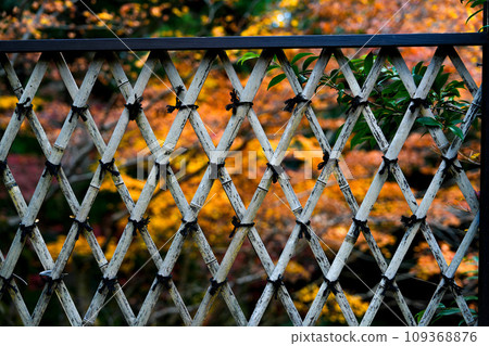 Koto Sanzan Saimyoji Temple Autumn 109368876