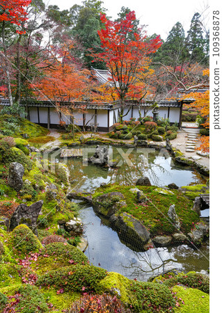 Koto Sanzan Saimyoji Temple Autumn 109368878
