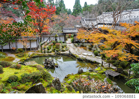 Koto Sanzan Saimyoji Temple Autumn Koto Sanzan Saimyoji Temple Autumn 109368881