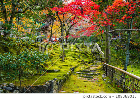 江東三山西名寺秋天 江東三山西名寺秋天 109369013