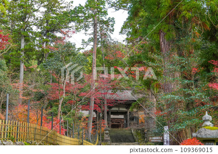 Koto Sanzan Saimyoji Temple Autumn 109369015
