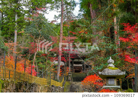 Koto Sanzan Saimyoji Temple Autumn Koto Sanzan Saimyoji Temple Autumn 109369017