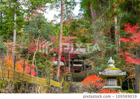 江東三山西名寺秋天 江東三山西名寺秋天 109369019