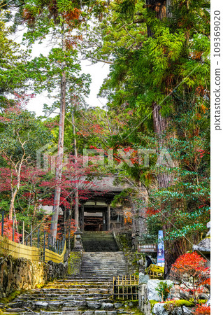 江東三山西名寺秋天 江東三山西名寺秋天 109369020