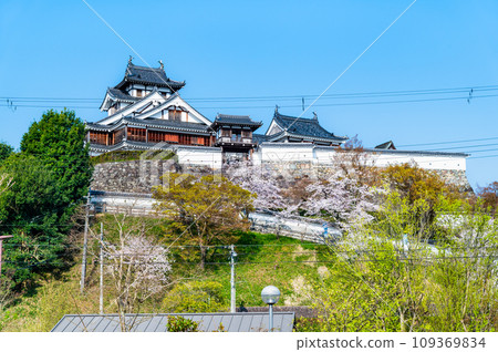 京都福知山城 - 天守閣和櫻花 - 109369834