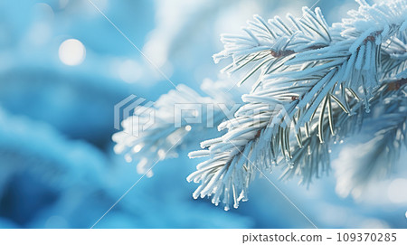 Fir tree branch in snow. Winter abstract background with copy space 109370285