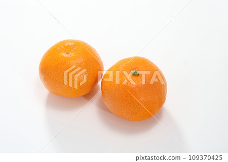 美味的橘子 美味的橘子 109370425