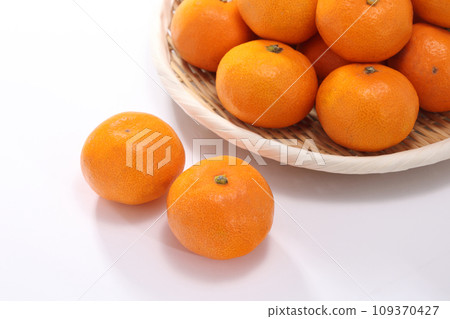 美味的橘子 美味的橘子 109370427