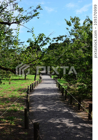 Japanese gardens are traditional gardens whose designs are accompanied by Japanese aesthetics and philosophical ideas, avoid artificial ornamentation, and highlight the natural landscape.  109370999