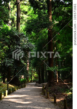 Japanese gardens are traditional gardens whose designs are accompanied by Japanese aesthetics and philosophical ideas, avoid artificial ornamentation, and highlight the natural landscape. Japanese gardens are traditional gardens whose designs are accompanied by Japanese aesthetics and philosophical ideas, avoid artificial ornamentation, and highlight the natural landscape. 109371081