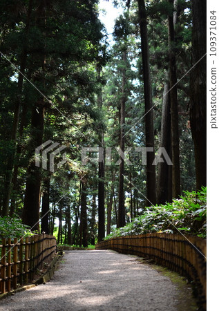 Japanese gardens are traditional gardens whose designs are accompanied by Japanese aesthetics and philosophical ideas, avoid artificial ornamentation, and highlight the natural landscape. Japanese gardens are traditional gardens whose designs are accompanied by Japanese aesthetics and philosophical ideas, avoid artificial ornamentation, and highlight the natural landscape. 109371084
