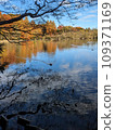 Autumn leaves reflected on the water 109371169