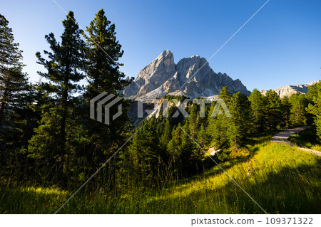 Alpine woodlands at foot of rocky Mont de Fornella in Dolomites Alpine woodlands at foot of rocky Mont de Fornella in Dolomites 109371322