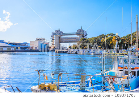 Numazu Port Large Observation Water Gate View [Shizuoka Prefecture] 109371703