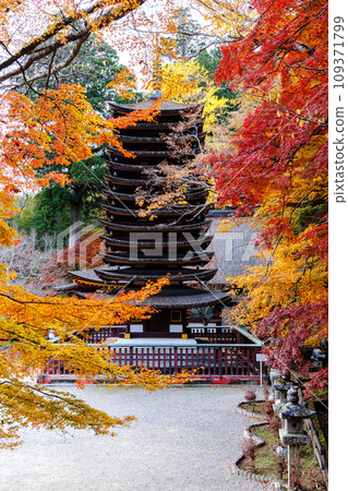 2023 Late Autumn Autumn leaves at Tanzan Shrine Thirteen-storied pagoda surrounded by colorful autumn leaves 109371799