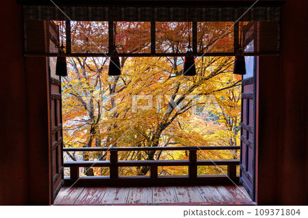 2023年深秋 談山神社東西走廊秋葉 門後秋葉 2023年深秋 談山神社東西走廊秋葉 門後秋葉 109371804