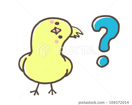 A parakeet faced with doubts A parakeet faced with doubts 109372014