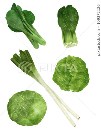 多葉蔬菜 多葉蔬菜 109372126