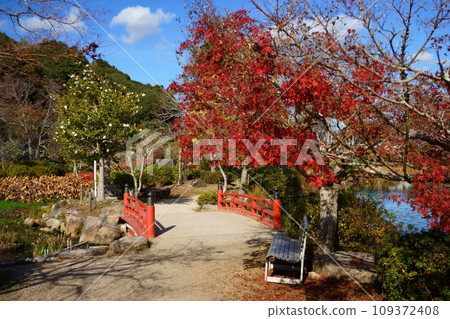 秋葉和朱紅色橋樑 秋葉和朱紅色橋樑 109372408