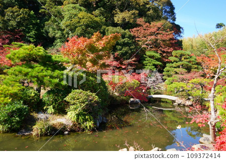 Autumn in Chofu Garden Autumn in Chofu Garden 109372414