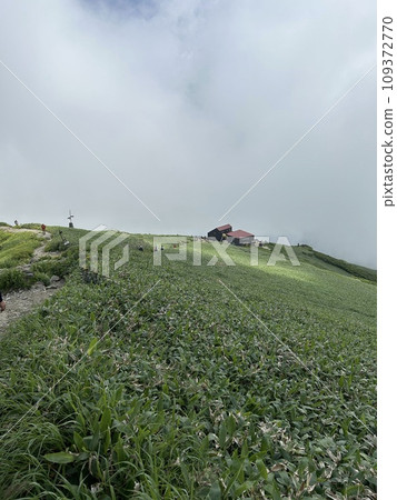 Mount Tanigawa is One of Japanese famous 100 mountains. Mount Tanigawa, Tanigawadake is a craggy, rugged mountain found on the border of Gunma and Niigata prefectures in northern Minakami. 109372770