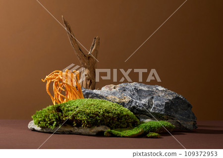 Scene depicting cordyceps mushrooms and green moss growing on rocks on a brown background. Cordyceps is a parasitic fungus that grows on caterpillar larvae. Scene depicting cordyceps mushrooms and green moss growing on rocks on a brown background. Cordyceps is a parasitic fungus that grows on caterpillar larvae. 109372953