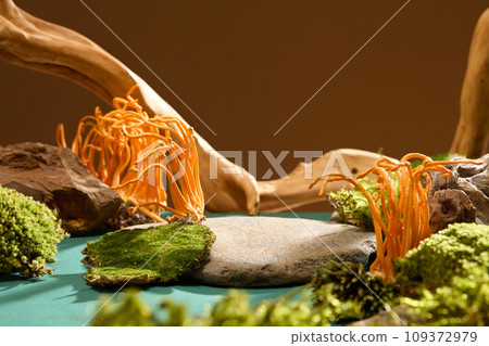 Front view of cordyceps and lush moss on rocky terrain with a serene blue-brown backdrop. Ideal setup for showcasing healthcare products with natural ingredients in a medical-theme. 109372979