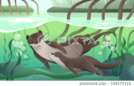 Otter family swimming in river 109373310