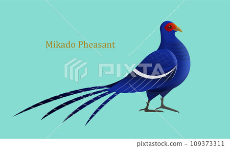Mikado Pheasant element 109373311