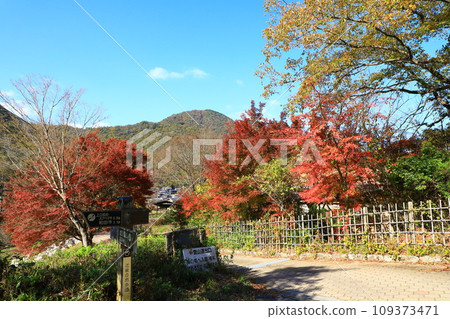 Tamba Traditional Crafts Park "Suenosato" autumn leaves scenery 109373471