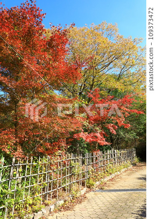 丹波傳統工藝公園「末野裡」紅葉風景 109373472