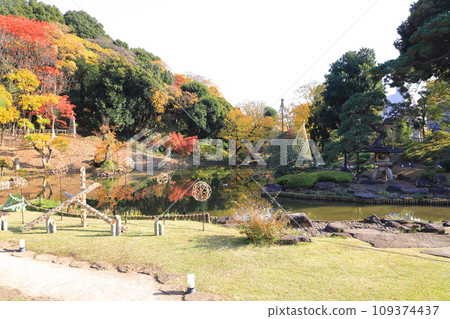 秋天的肥後細川庭園 109374437