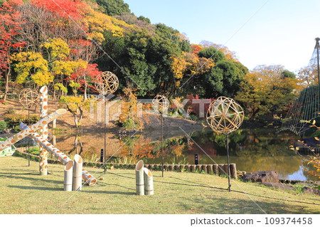 Autumn Higo Hosokawa Garden 109374458