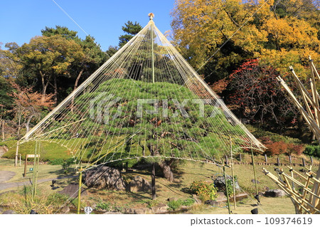 肥後細川庭園(肥後細川庭園) 松樹雪掛 肥後細川庭園(肥後細川庭園) 松樹雪掛 109374619