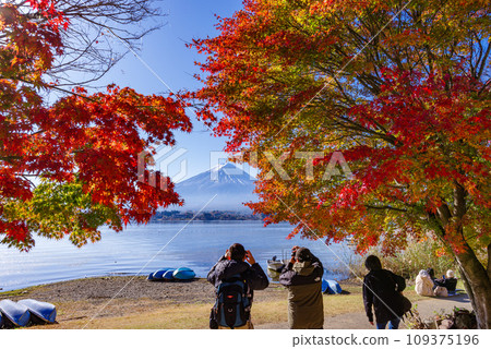 Fuji and autumn leaves 109375196