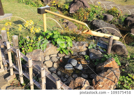 肥後細川花園(肥後細川花園)津和鹿三葉草 肥後細川花園(肥後細川花園)津和鹿三葉草 109375458