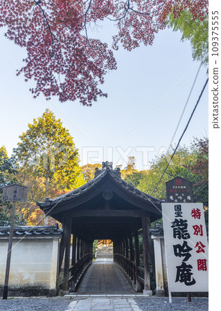 東山,京都的秋天,東福寺,秋葉和江月橋 東山,京都的秋天,東福寺,秋葉和江月橋 109375555