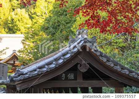 東山,京都的秋天,東福寺,秋葉和江月橋 東山,京都的秋天,東福寺,秋葉和江月橋 109375557