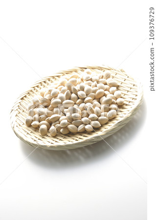 白色背景下籃子銀杏種子的照片 109376729
