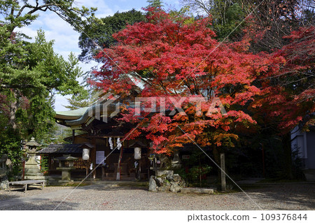 粟田神社本殿 秋葉 109376844