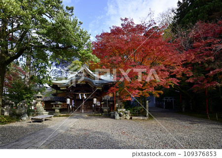 粟田神社本殿 秋葉 109376853