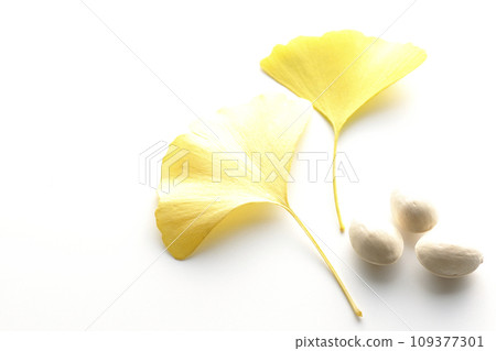 Ginkgo seeds and leaves photographed against a white background Ginkgo seeds and leaves photographed against a white background 109377301