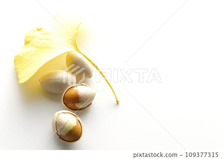 Ginkgo seeds and leaves photographed against a white background Ginkgo seeds and leaves photographed against a white background 109377315