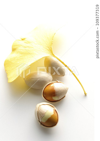 Ginkgo seeds and leaves photographed against a white background Ginkgo seeds and leaves photographed against a white background 109377319