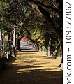 Shrine approach 3 109377862